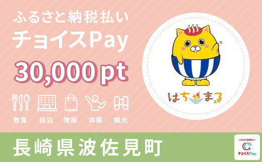 
ZZ06 チョイスPay 30,000pt（1pt＝1円）【会員限定のお礼の品】

