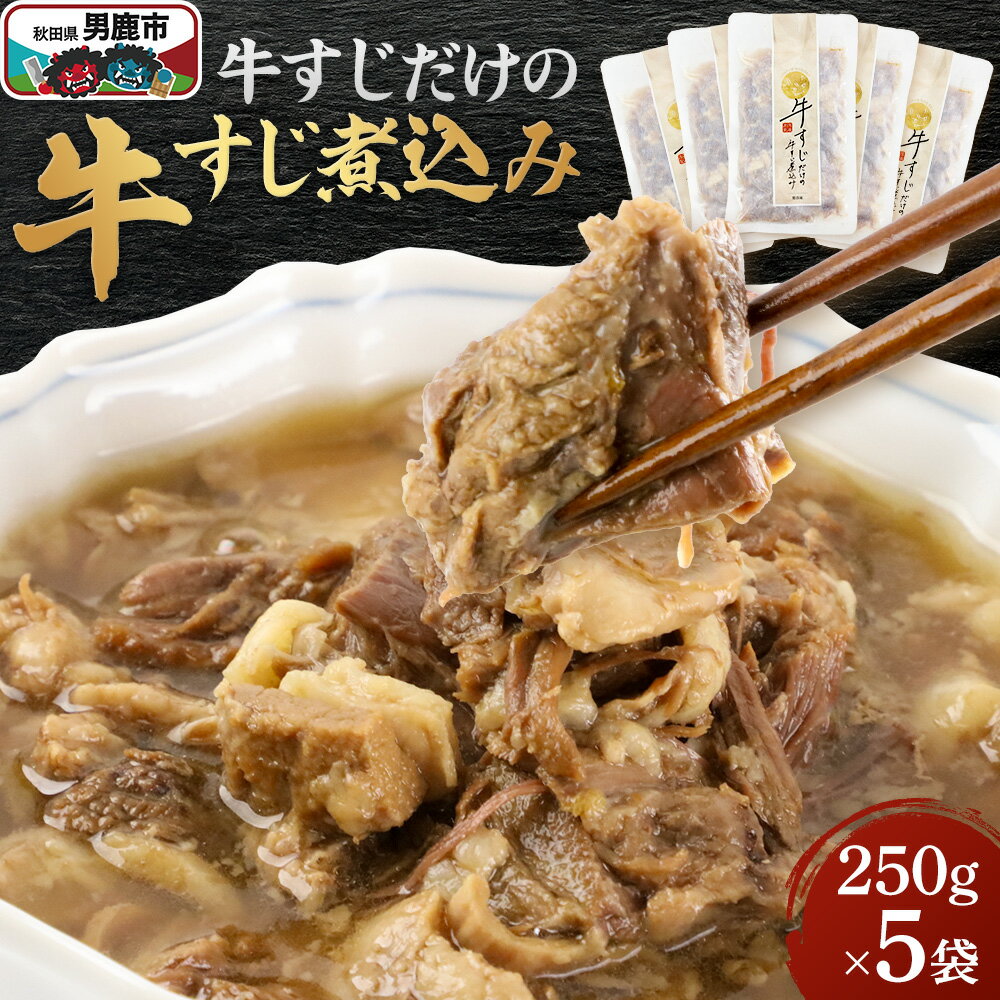 【ふるさと納税】牛すじだけの牛すじ煮込み 250g×5袋 箱入 秋田県 男鹿市 男鹿ジャン