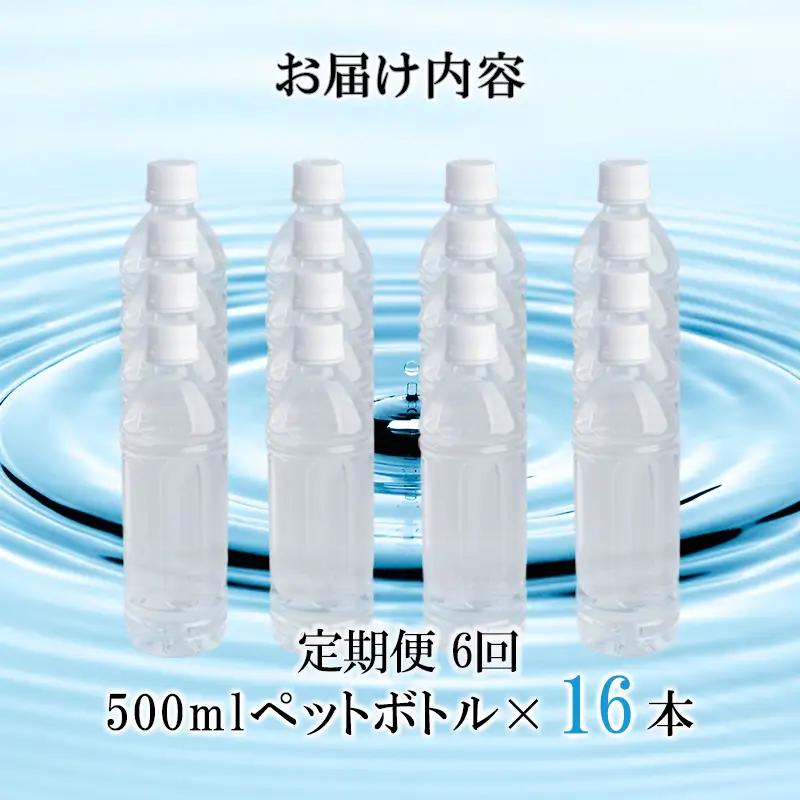 【桜屋】6回 定期便 シリカ天然水 サクラシリカ 500ml 16本 6回 計96本 シリカ含有量99mg/L シリカ水 ラベルレス 水 ミネラルウォーター 飲料水 飲料 ペットボトル ナチュラルウォ