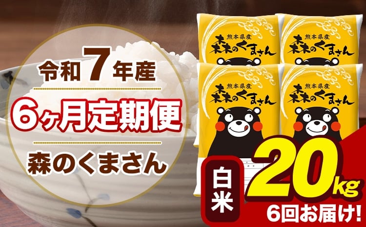 
            【6ヶ月定期便】令和7年産 森のくまさん 白米 20kg 5kg×4袋 計6回お届け《お申込み翌月から出荷》お米 こめ 熊本県産 ご飯 備蓄
          