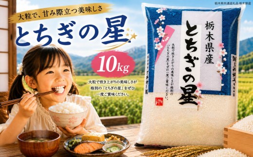 新米 令和8年度産 新米 栃木県産 とちぎの星 白米 5kg×2袋（合計10㎏） | ふるさと 納税 お弁当 お米 精米 美味しい 白米 つやつや とちぎ 大粒 共通返礼品 送料無料 那珂川町 栃木県【栃木県共通返礼品】