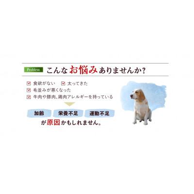 ふるさと納税 山鹿市 【毎月定期便】馬刺屋さんが作ったドッグフード食べ比べセット全12回 |  | 02
