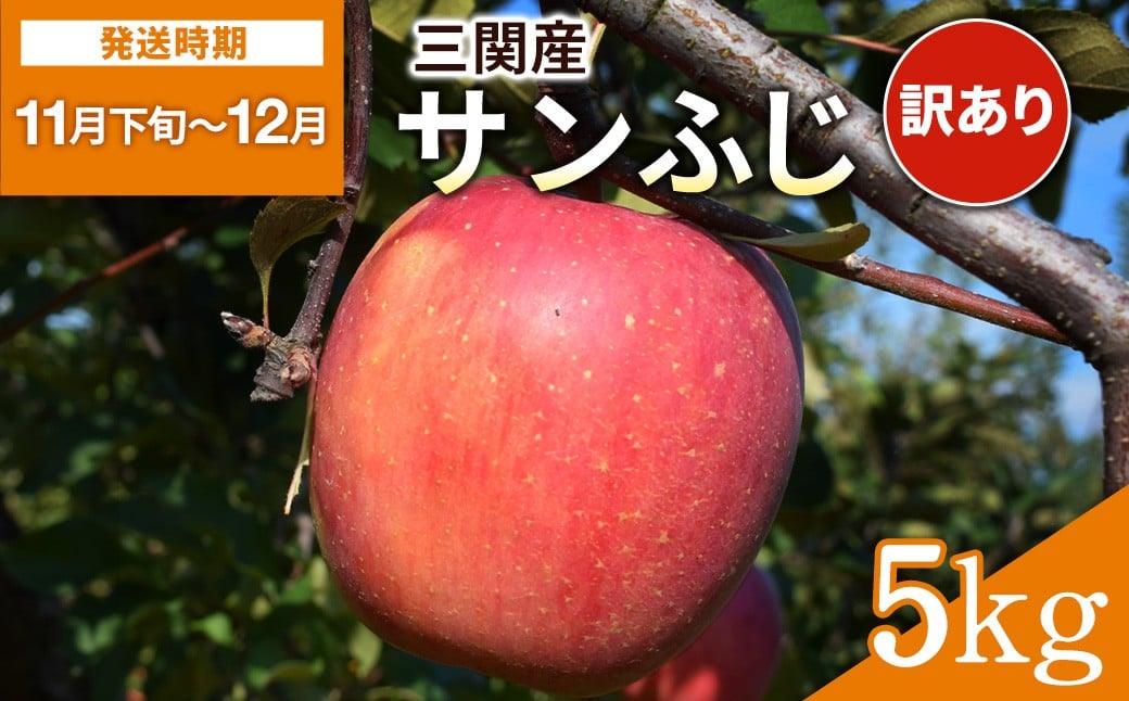 
            三関産 りんご サンふじ 5kg 訳ありふじりんご ふるさと納税 旬 果物 フルーツ ジューシー 甘い 秋田県 湯沢市三関産【藤利果樹園】[B14604]
          