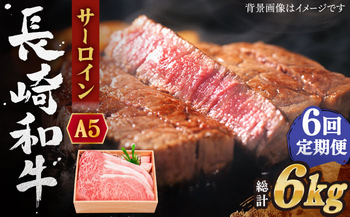 
【全6回定期便】長崎和牛 サーロイン ステーキ 総計6.0kg （1.0kg/回）【焼肉おがわ】 [QBI013] 牛肉 和牛 焼き肉 バーベキュー 32万円 320000円
