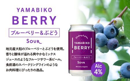 クラフトビール YAMABIKO BEER 3種 計6本 飲み比べ セット 赤そば ブルーベリー ストロベリー 詰め合わせ 地ビール フルーツ ビール フルーツビール お酒 酒 アルコール 発泡酒 珍