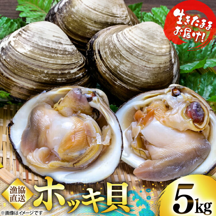 【ふるさと納税】 【期間限定発送】 ホッキ貝 5kg 選べる 発送月 [百石町漁業協同組合 青森県 おいらせ町 oi02ayo550000] ほっき貝 ブランド 奥入瀬 北寄貝 ホッキ ほっき