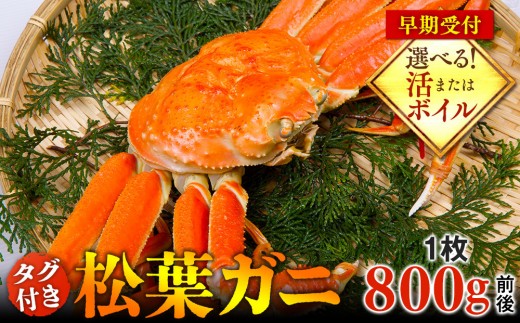
                  【早期受付】【選べます！活またはボイル】タグ付き松葉ガニ 大1枚（800g前後）※着日指定不可※2026年11月上旬頃から順次発送予定 ｜ 蟹 かに 松葉ガニ 松葉蟹 タグ付き 鳥取県産 北栄町 おすすめ 人気
                