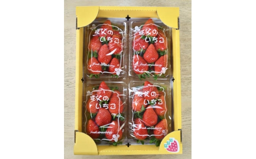 秩父のやよいひめ　4パック ／ やよいひめ 甘い ジューシー 食べ応え 新鮮 朝食 おやつ フルーツ 4パック 果物 ギフト 冷蔵 賞味期限 冷蔵便 農園直送 苺 イチゴ いちご 果物 フルーツ 埼玉県 特産 No.214