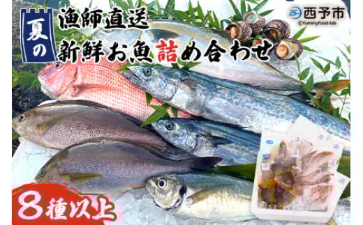＜漁師直送 夏の新鮮お魚詰め合わせ 8種以上＞ 魚 詰め合わせ 海鮮 海産物 海鮮セット イサキ 処理済み 麹漬け 明浜産 二ノ宮商事株式会社 愛媛県 西予市【冷凍】『5月～9月末迄に順次出荷予定』