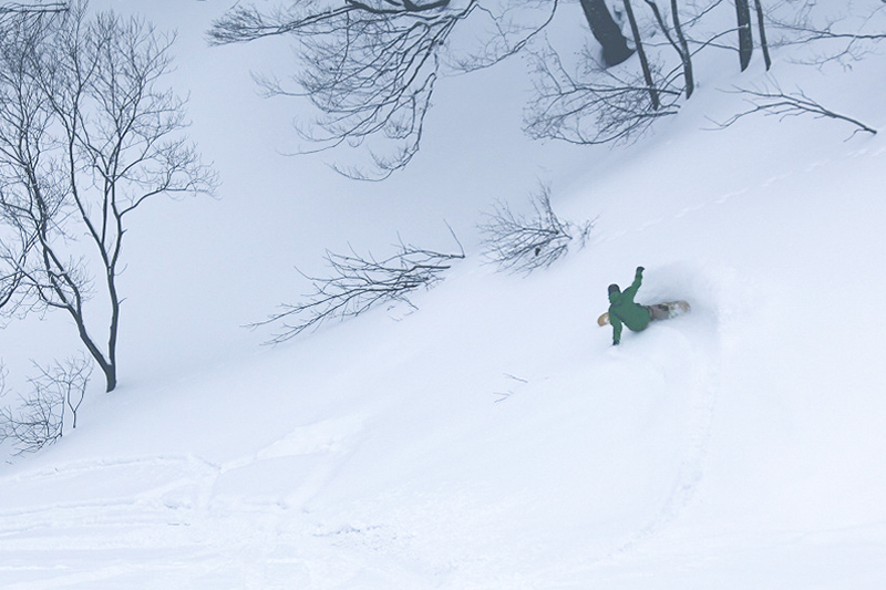 鳥海高原矢島スキー場 リフト1日券 大人1枚【営業期間：2025年12月～2026年3月】＜簡易書留＞