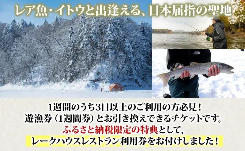 北海道朱鞠内 特典付 イトウ釣り 1週間チケット レストラン 利用券 朱鞠内湖 イトウ レア 魚釣り 北海道旅行 アウトドアキャンプ 自然散策 大自然 釣り初心者 湖畔 釣り旅行 釣りの聖地 体験 送