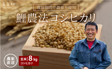 ＜令和６年産新米＞鯉農法　コシヒカリ（玄米）８kg