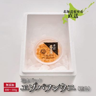 ふるさと納税 根室市 ＜12/17まで年内配送＞エゾバフンウニ(黄色)塩水パック100〜110g×1パック C-22001 |  | 03