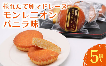 【焼き菓子】マドレーヌ モンレニオンバニラ 5個入 洋菓子