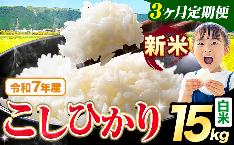【3ヶ月定期便】令和7年産 新米 白米 こしひかり 15kg《お申込みの翌月出荷》熊本県産 ふるさと納税 白米 精米 ひの 米 こめ ふるさとのうぜい コシヒカリ コメ お米 おこめ---reihoku_loc_46_mo3---
