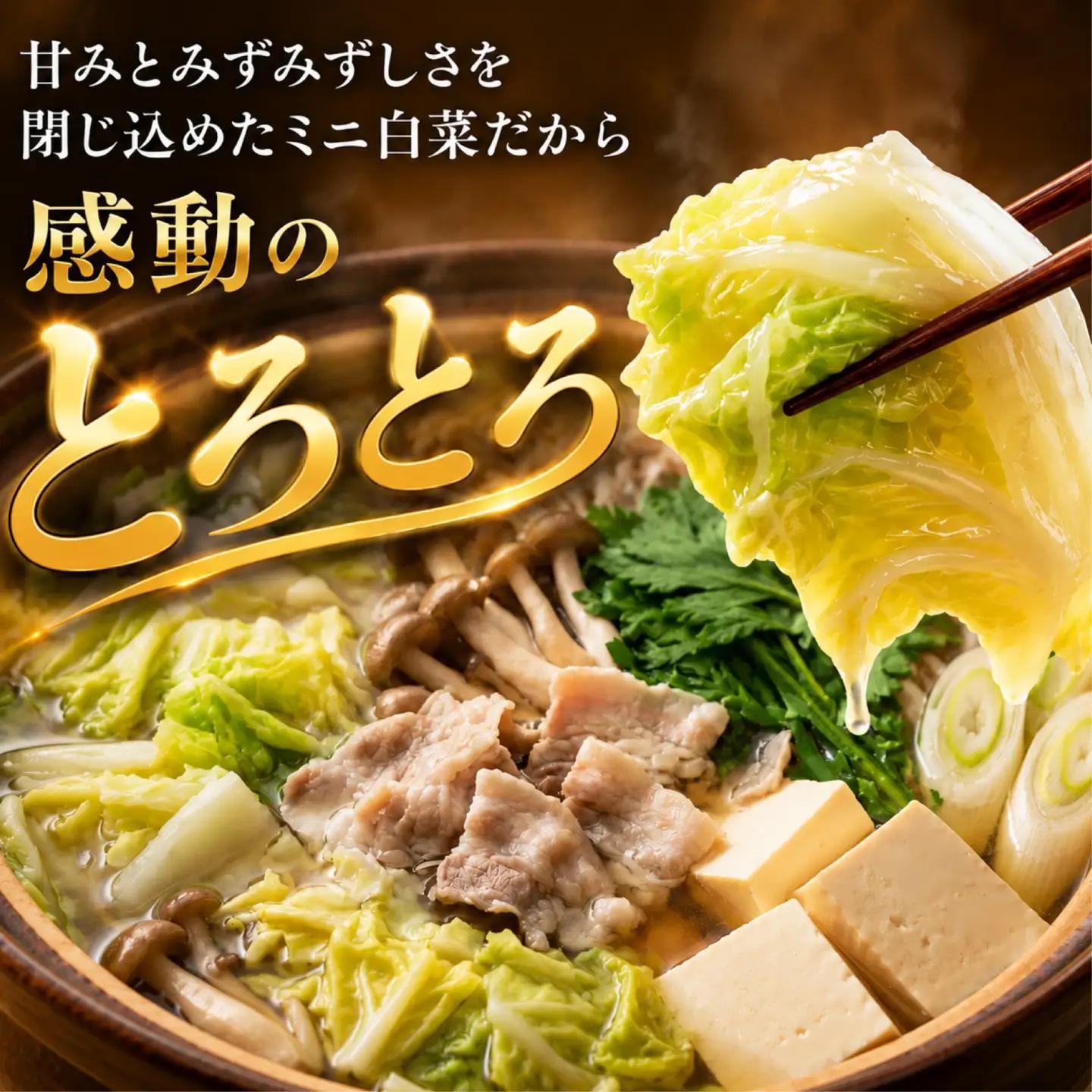 ミニ 白菜 5～8玉 はくさい ハクサイ 鍋 甘い おいしい オススメ サラダ 野菜 のうみんず 静岡県 三島市 【先行予約2026年11月上旬より順次発送】 