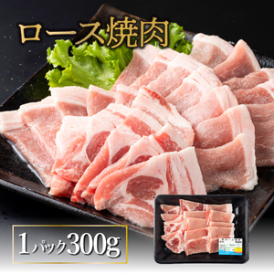 MCBY4-13 宮崎県産 豚肉詰め合わせ 焼肉セット（合計1.3kg）