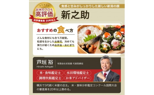 令和8年産 先行予約 新潟県 上越市産米 新之助 定期便 5kg×3回 計15kg 3か月 しんのすけ 新米 精米 米ヴィレッジさんわ 上越市三和区