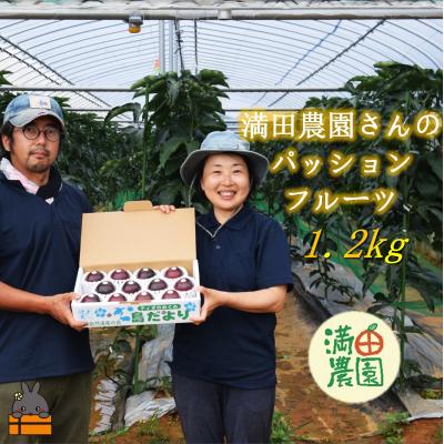 ふるさと納税 徳之島町 【先行予約】満田農園さんのパッションフルーツ(約1.2kg) | 