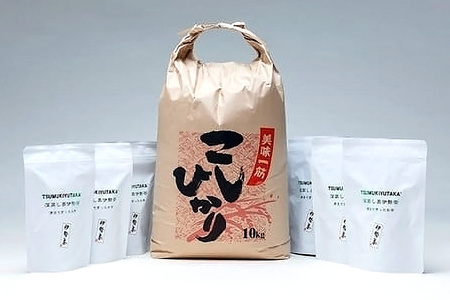 こしひかり 精米 10kg 奥伊勢茶（5g×20）3袋 （2g×40）3袋  (285)