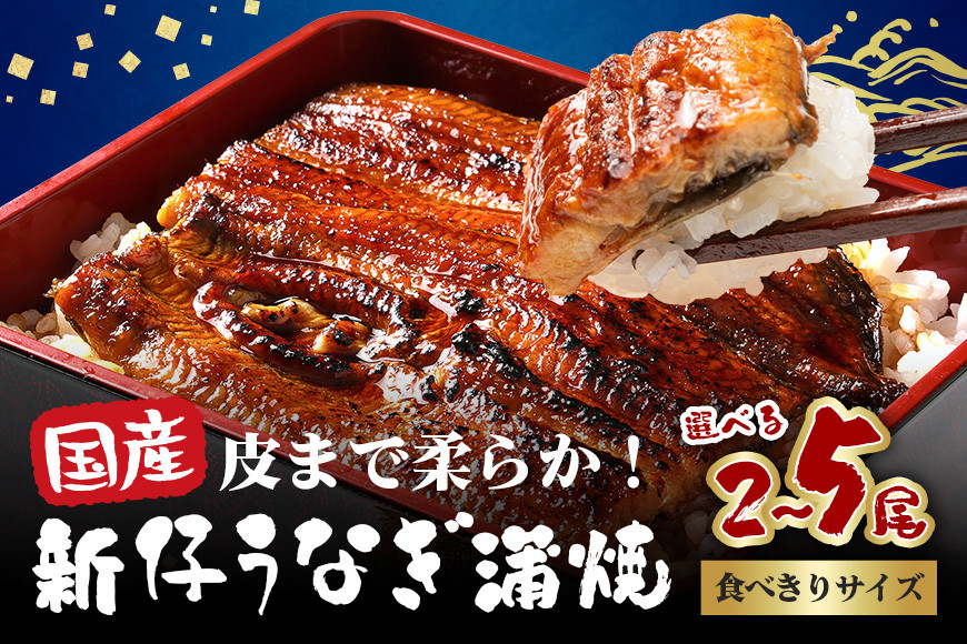 
            国内産 やわらか新仔うなぎ蒲焼 10000円～選べる 2尾～5尾 (100～110g×2尾～5尾)  食べ切りサイズ ふっくら蒲焼き ブランド鰻使用 秘伝のタレ・山椒付き 湯煎で簡単調理 うな丼 ちらし寿司 贈答用 ギフト 冷蔵配送 茨城県 潮来市
          