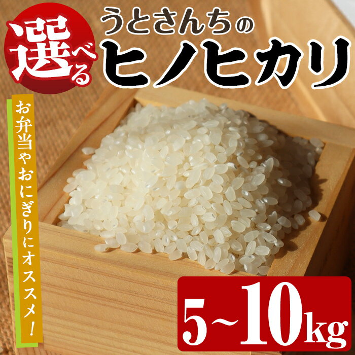 【ふるさと納税】＜内容量が選べる！＞ ヒノヒカリ (5～10kg) 国産 米 お米 コメ 白米 ひのひかり ごはん ご飯 お弁当 おにぎり【うとさんち】