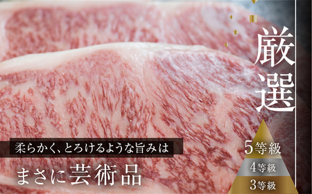 【ふるなび限定】飛騨牛サーロイン ステーキ 400g (200g×2枚)  ステーキ FN-Limited-PR