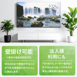 チューナーレステレビ 75V型 4K対応 テレビ