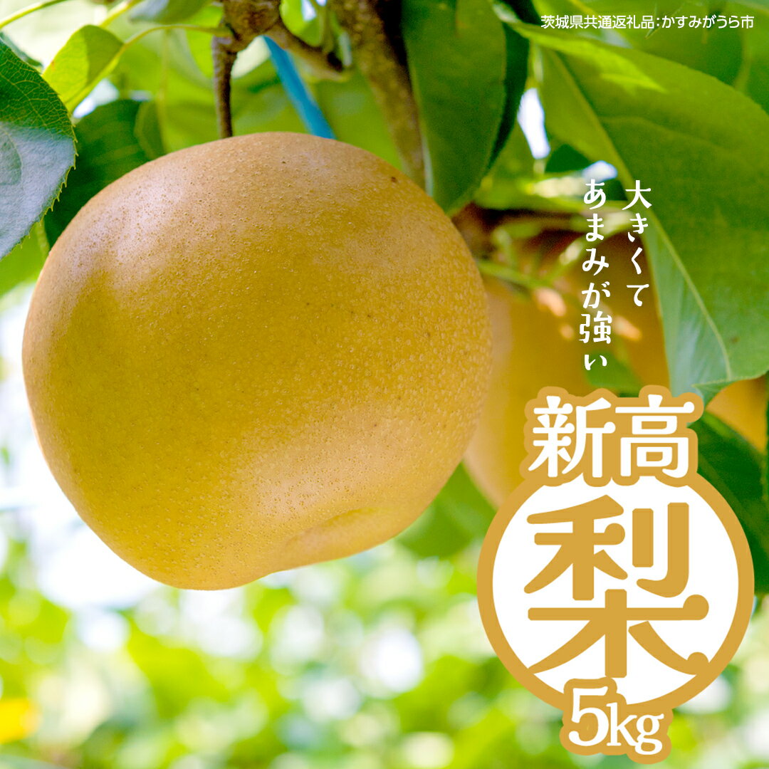 【ふるさと納税】新高 約5kg（茨城県共通返礼品：かすみがうら市） 【2025年9月中旬発送開始】 梨 数量限定 なし ナシ フルーツ 果物 旬 産地直送