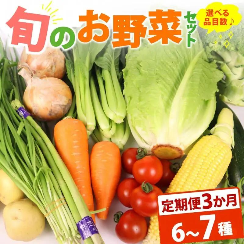 【朝採れ】定期便 3か月 野菜セット 6~7品目 以上 お野菜 季節 丸新柴本製茶 静岡 県 牧之原市