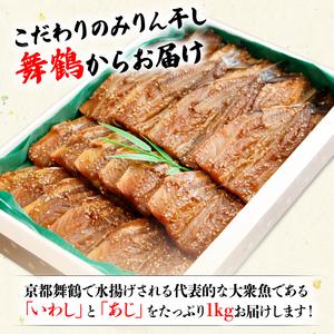 干物 いわし あじ みりん干し セット 鰯 鯵 ひもの 詰め合わせ 500g ずつ 冷凍 合計 1kg 1キロ 10000円 魚類 一万円 京都府 舞鶴 いわしとあじの干物 あじ干物 いわし干物 セッ