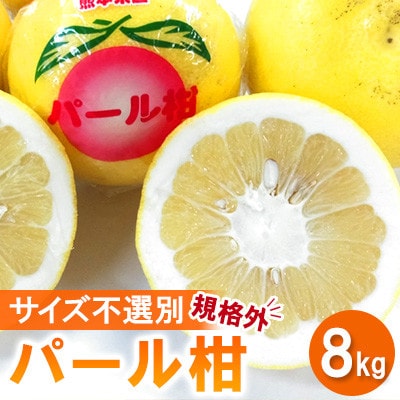 【先行予約2026年1月下旬～発送予定】パール柑 約8kg 規格外 サイズ不選別(宇城市)【1696055】