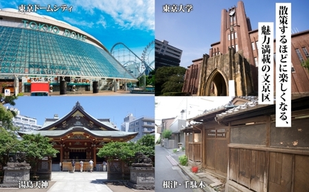 東京都 文京区 旅行クーポン 300,000円分 都内 東京ドーム 根津 千駄木 観光 旅行 ホテル 旅館 老舗 高級 トラベル チケット 家族 カップル 宿泊 予約 おすすめ 父の日 母の日 旅行券