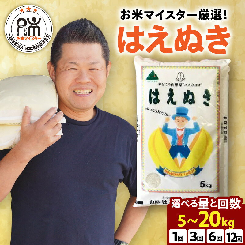 【ふるさと納税】 【 新米 先行予約 】米 はえぬき 選べる 年産 内容量 回数 定期便 | 令和7年産 令和8年産 5kg 8kg 10kg 20kg 1回 3回 6回 12回 コメ お米 精米 白米 ブランド米 ご飯 ごはん 2026年産 2025年産 秋 旬 常温保存 小分け お試し 送料無料 山形県 米沢市