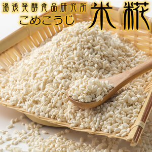 冷凍米麹(米こうじ) 2.5kg (500g×5袋) 生冷凍袋入 /湯浅発酵食品研究所【sutb807】