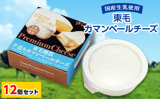
群馬県太田市　東毛カマンベールチーズ12個セット【1296686】
