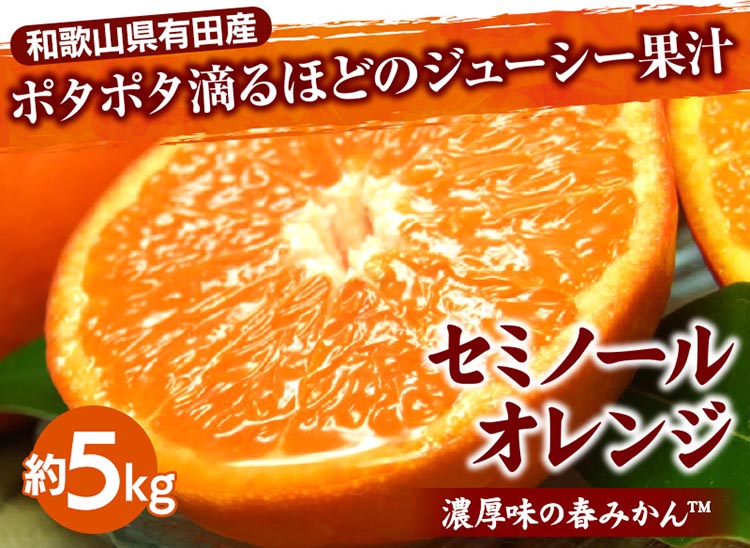 セミノールオレンジ[約5kg] 和歌山県有田産 春みかん 【果実サイズおまかせ】｜和歌山県産 柑橘 フルーツ 紀伊国屋文左衛門本舗 ※2025年4月中旬～5月下旬頃に順次発送予定