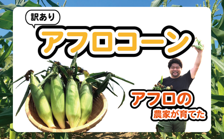 とうもろこし カリッとアフロコーン 7袋 とうもろこし