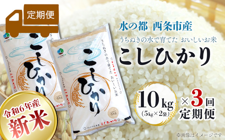【定期便3ヶ月】 令和6年産 新米 西条産のお米 「コシヒカリ」（10kg）　こしひかり 米 精米 新米 10㎏ 定期便 3回