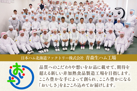 乾燥させた 生ハム 40g 10袋 [日本ハムマーケティング 青森県 おいらせ町 oi02ayo820023]