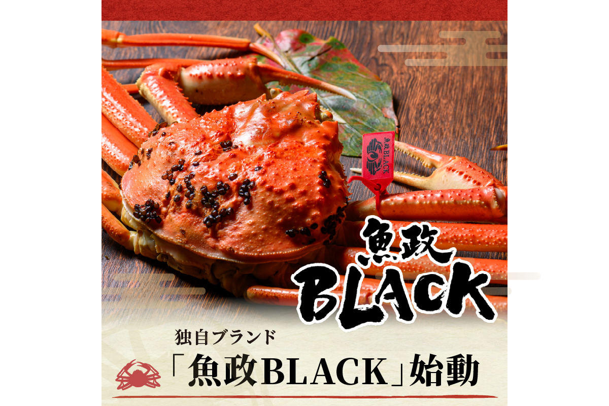 訳あり　【蟹の匠 魚政】茹で　プレミアムズワイガニ 魚政BLACK（松葉ガニ・越前ガニ） 中サイズ（800～900g） 2匹セット(1月～3月発送）  松葉蟹 蟹 かに カニ ガニ がに ボイル まる