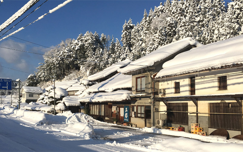 令和7年産【定期便3回】邑南町産きぬむすめ10kg