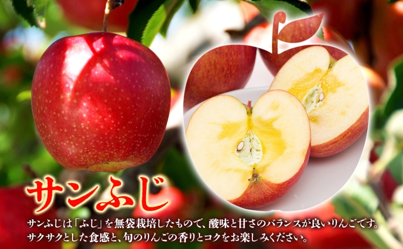 化粧箱入りサンふじ・王林約3kg  贈答用【特A・特選】（2月発送）青森県産