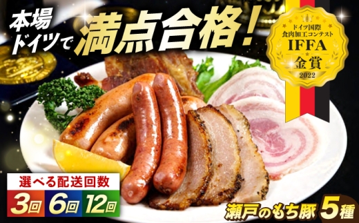 【全6回定期便】「瀬戸のもち豚」IFFA2022金賞受賞5点セット おすすめ 人気 美味しい おいしい 絶品 国産 ブランド豚 もち豚 バラエティ 受賞 ドイツ 本格 高級 ロースハム ボンレスハム ホワイトソーセージ あらびき 贈答用 プレゼント お祝い 誕生日 お中元 お歳暮 パーティー プレゼント ジューシー 広島県福山市/日本畜産株式会社 [BAER074]