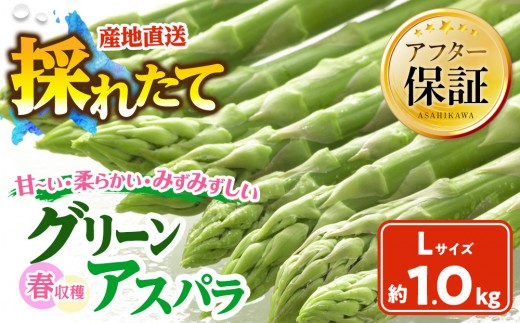 
            【2026年先行予約】春収穫グリーンアスパラ Lサイズ 1kg（2026年6月上旬から発送開始予定）【 アスパラ アスパラガス 朝採り とれたて 野菜 旬 小分け 保存 産直 産地直送 お取り寄せ 旭川市 北海道 】_00442
          