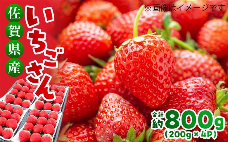 【限定数量】【予約受付開始・12月-4月発送】 いちごさん 約800g（約200g×4P） いちご 吉野ヶ里町/TZファーム [FDF001]