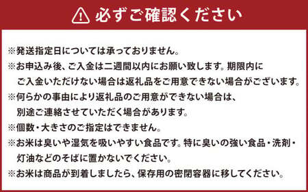 【計2回発送】青赤 メロン 5玉（1玉 1.7kg以上）詰合せとななつぼし 5キロ ゆめぴりか 5キロ | 果物 フルーツ 青肉 赤肉 5玉 米 5kg 【2025年7月上旬～2025年10月上旬発送