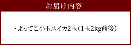 よってこ小玉すいか2玉 【5月下旬〜8月中旬お届け】ピノガール よってこファーム フルーツ デザート 果物 