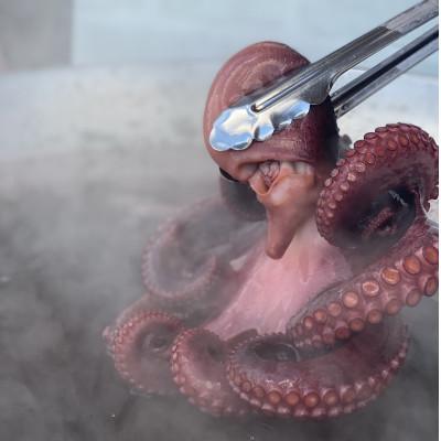 ふるさと納税 南知多町 皓介オリジナル名古屋風醤油たこ焼き「白(昆布味)」20コ【篠島産の蛸使用】CAS冷凍 子供のおやつに |  | 03