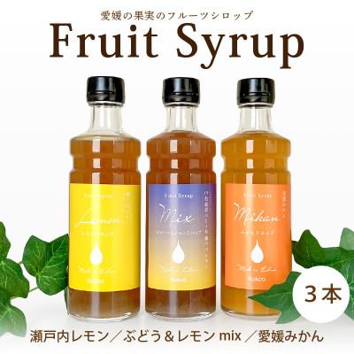 ふるさと納税 松山市 愛媛県産フルーツシロップ3本セット《レモネード・みかん・ピオーネ&amp;レモン》(簡易箱入り)